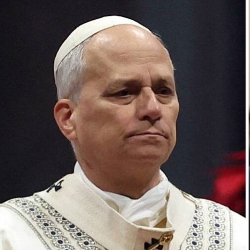 Pope Leo - brief comments.JPG